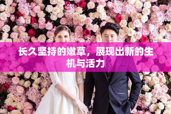 长久坚持的嫩草，展现出新的生机与活力