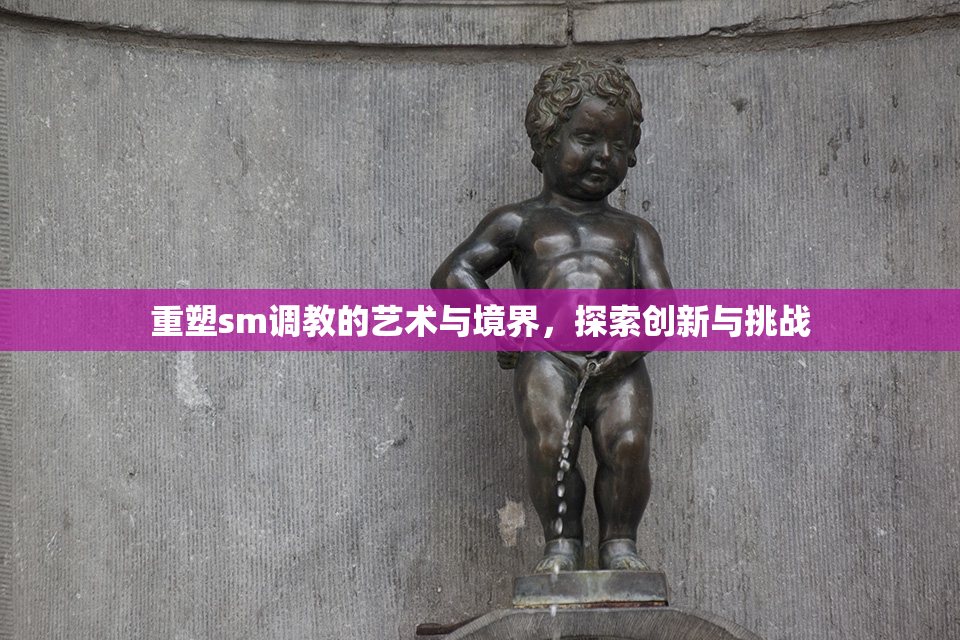 重塑sm调教的艺术与境界，探索创新与挑战
