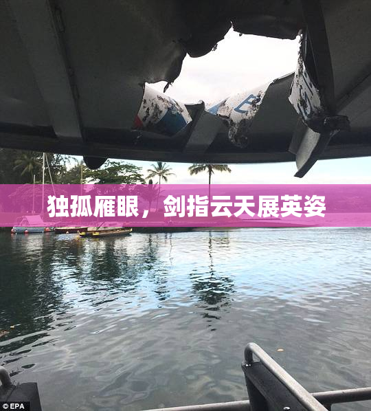 独孤雁眼，剑指云天展英姿