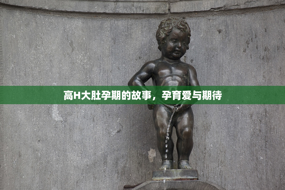 高H大肚孕期的故事，孕育爱与期待
