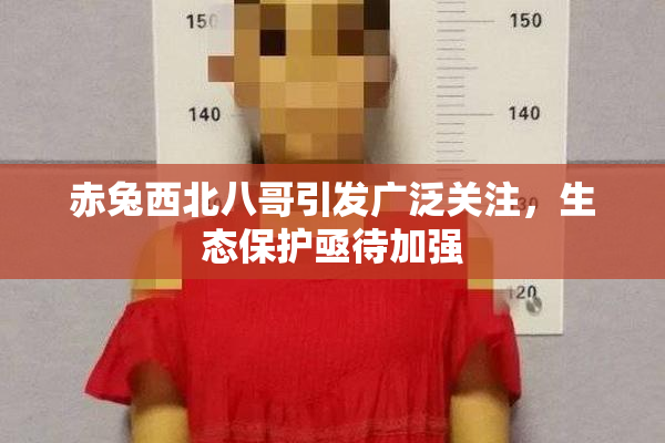 赤兔西北八哥引发广泛关注，生态保护亟待加强