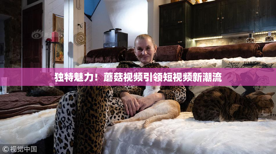 独特魅力！蘑菇视频引领短视频新潮流
