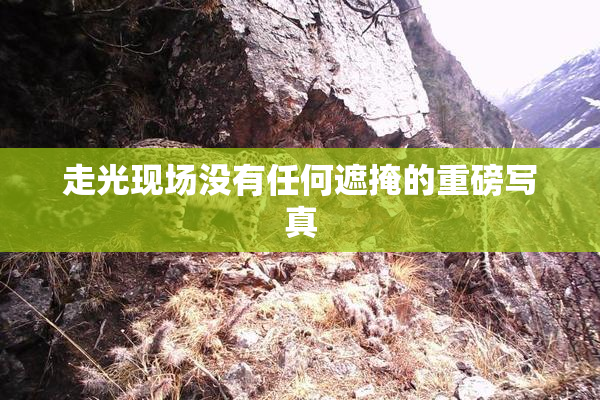 走光现场没有任何遮掩的重磅写真
