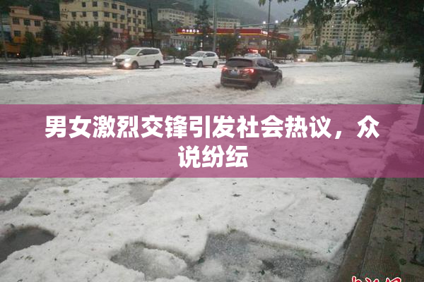 男女激烈交锋引发社会热议，众说纷纭