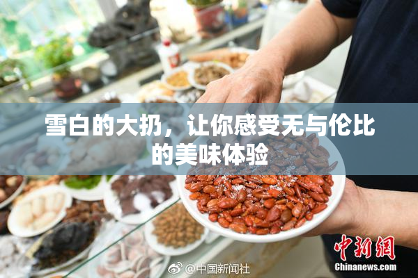 雪白的大扔，让你感受无与伦比的美味体验