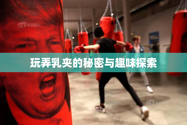 玩弄乳夹的秘密与趣味探索