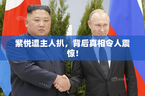 紫悦遭主人扒，背后真相令人震惊！