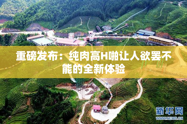 重磅发布：纯肉高H啪让人欲罢不能的全新体验