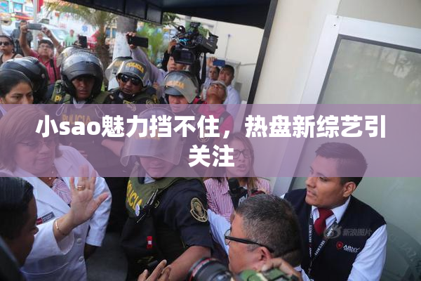 小sao魅力挡不住，热盘新综艺引关注