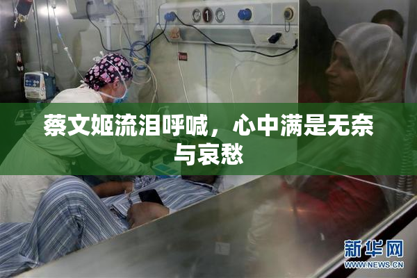 蔡文姬流泪呼喊，心中满是无奈与哀愁
