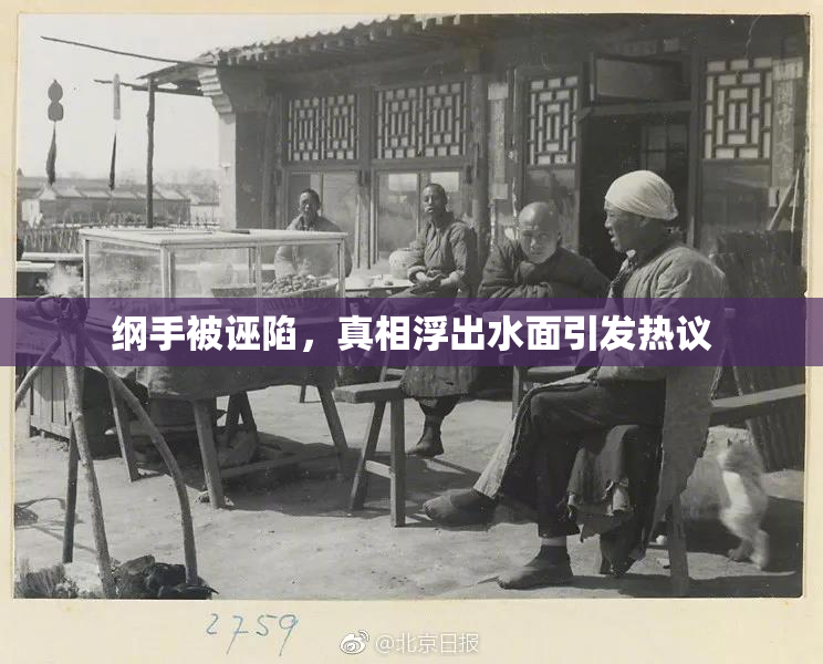 纲手被诬陷，真相浮出水面引发热议