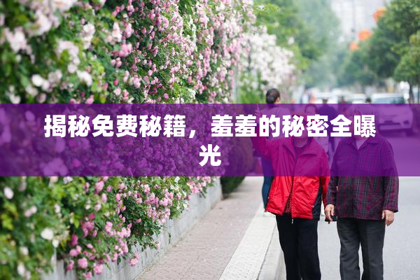 揭秘免费秘籍，羞羞的秘密全曝光