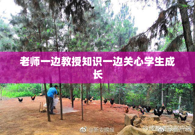 老师一边教授知识一边关心学生成长