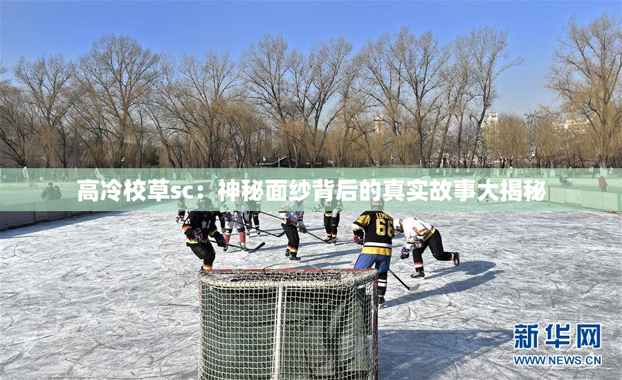 高冷校草sc：神秘面纱背后的真实故事大揭秘