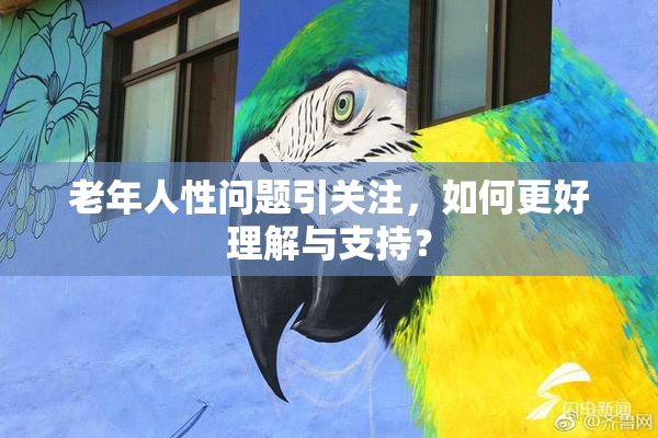 老年人性问题引关注，如何更好理解与支持？