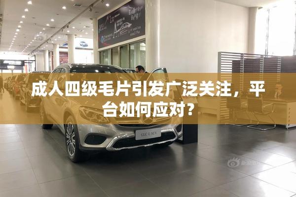 成人四级毛片引发广泛关注，平台如何应对？