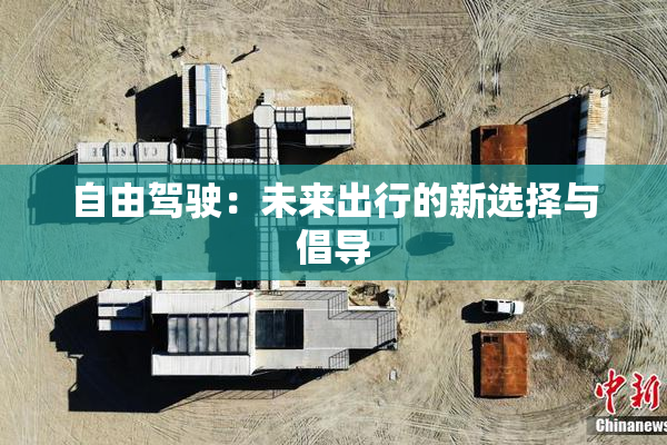 自由驾驶：未来出行的新选择与倡导