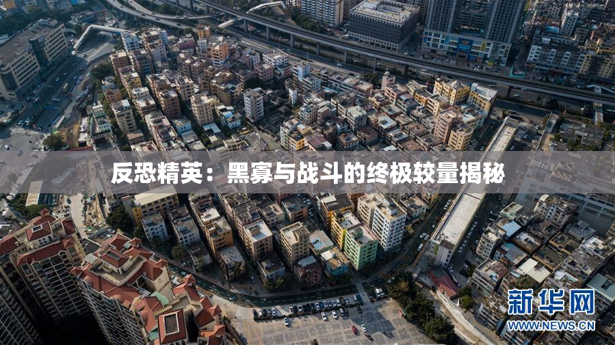 反恐精英：黑寡与战斗的终极较量揭秘