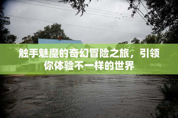 触手魅魔的奇幻冒险之旅，引领你体验不一样的世界