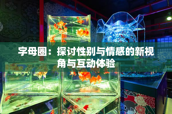 字母圈：探讨性别与情感的新视角与互动体验