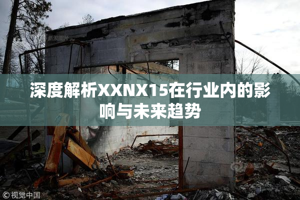 深度解析XXNX15在行业内的影响与未来趋势