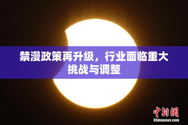 禁漫政策再升级，行业面临重大挑战与调整