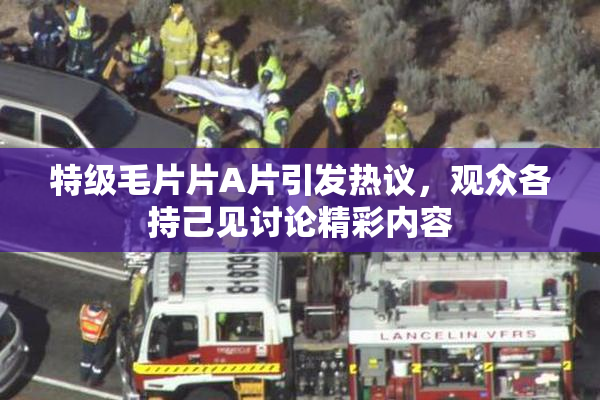 特级毛片片A片引发热议，观众各持己见讨论精彩内容