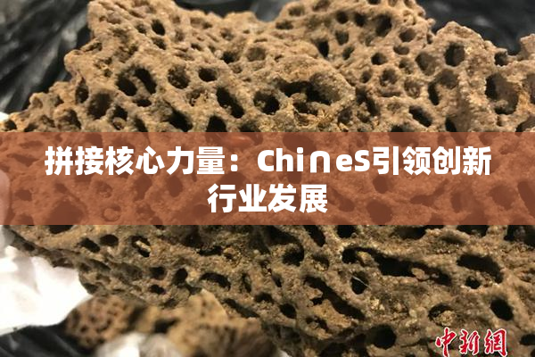 拼接核心力量：Chi∩eS引领创新行业发展