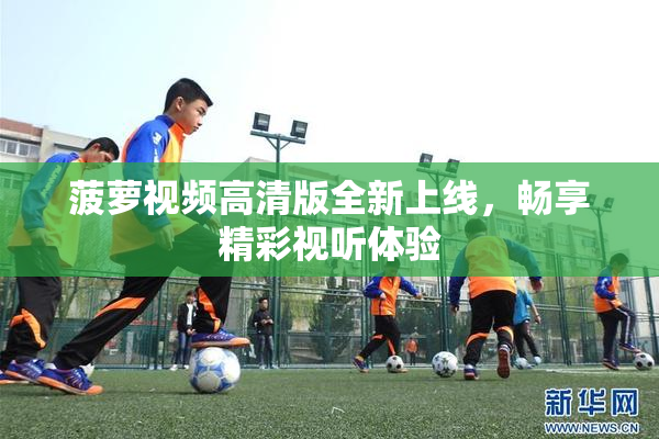 菠萝视频高清版全新上线，畅享精彩视听体验