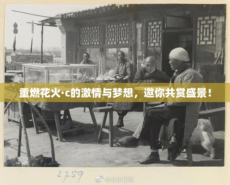 重燃花火·c的激情与梦想，邀你共赏盛景！