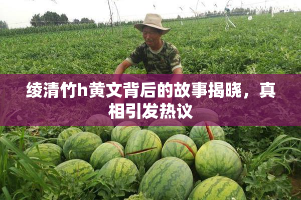 绫清竹h黄文背后的故事揭晓，真相引发热议