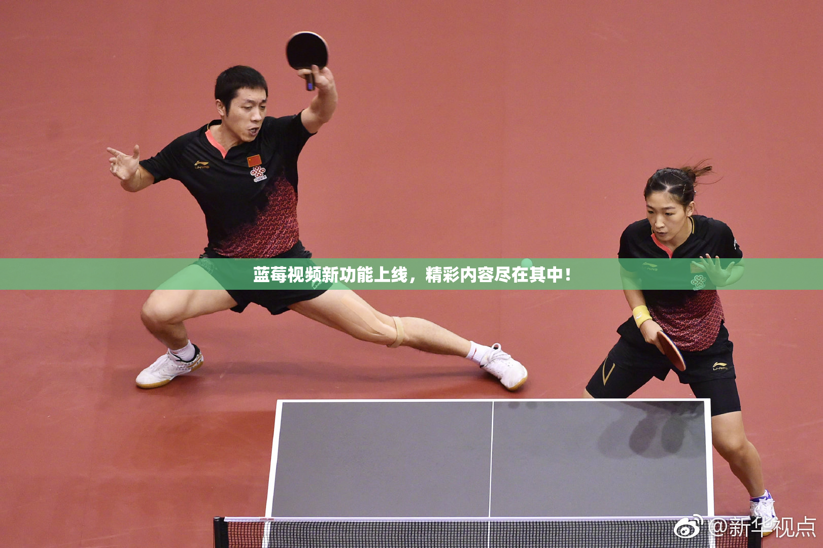 蓝莓视频新功能上线，精彩内容尽在其中！