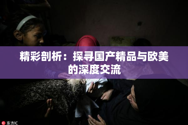 精彩剖析：探寻国产精品与欧美的深度交流