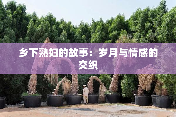 乡下熟妇的故事：岁月与情感的交织