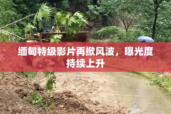 缅甸特级影片再掀风波，曝光度持续上升