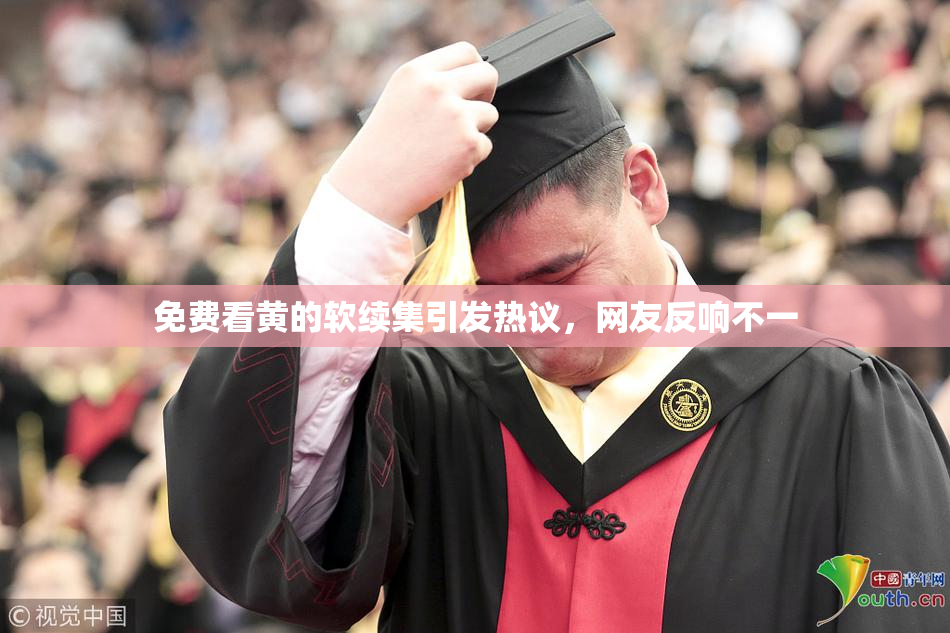 免费看黄的软续集引发热议，网友反响不一
