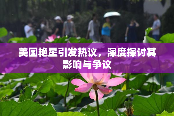 美国艳星引发热议，深度探讨其影响与争议