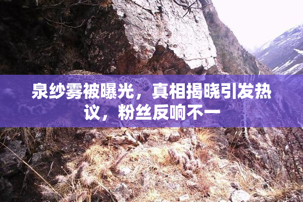 泉纱雾被曝光，真相揭晓引发热议，粉丝反响不一
