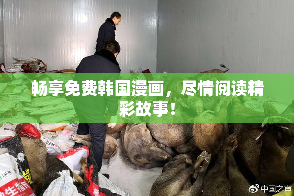 畅享免费韩国漫画，尽情阅读精彩故事！