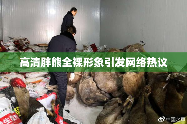 高清胖熊全裸形象引发网络热议