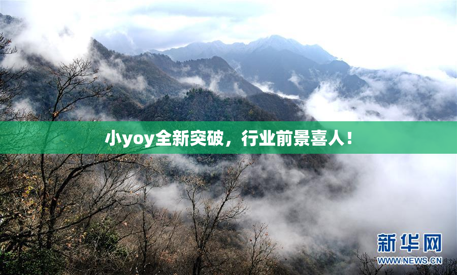 小yoy全新突破，行业前景喜人！