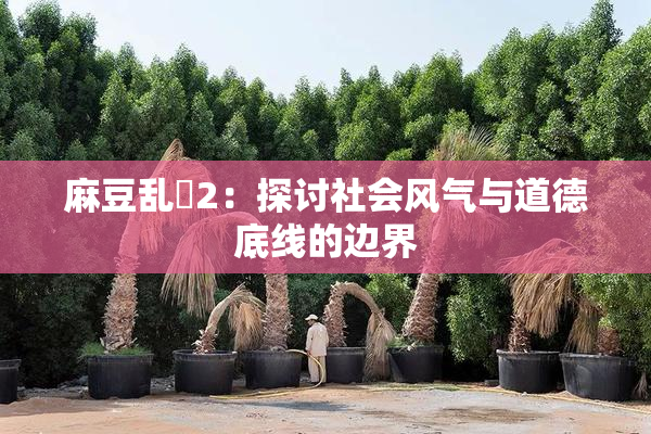 麻豆乱婬2：探讨社会风气与道德底线的边界