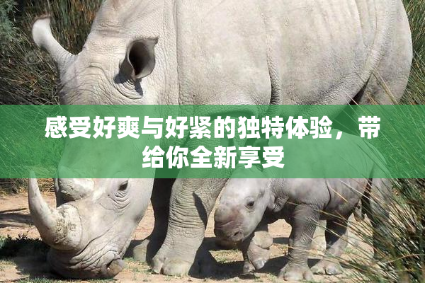感受好爽与好紧的独特体验，带给你全新享受