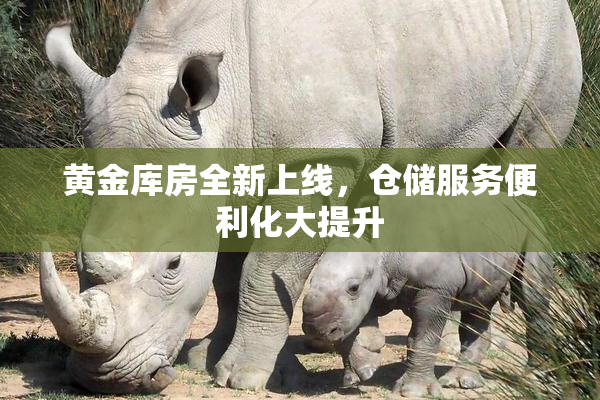 黄金库房全新上线，仓储服务便利化大提升