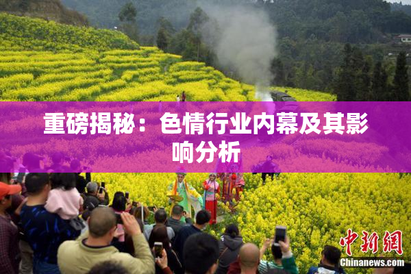 重磅揭秘：色情行业内幕及其影响分析