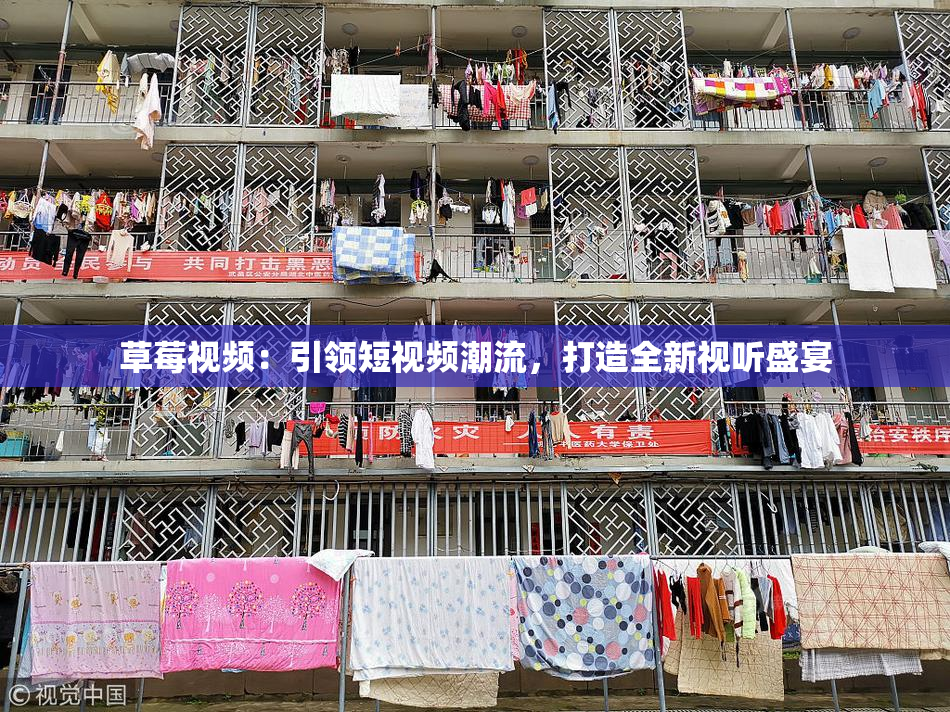 草莓视频：引领短视频潮流，打造全新视听盛宴
