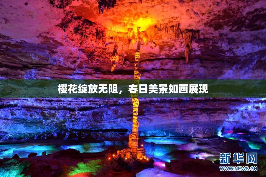 樱花绽放无阻，春日美景如画展现