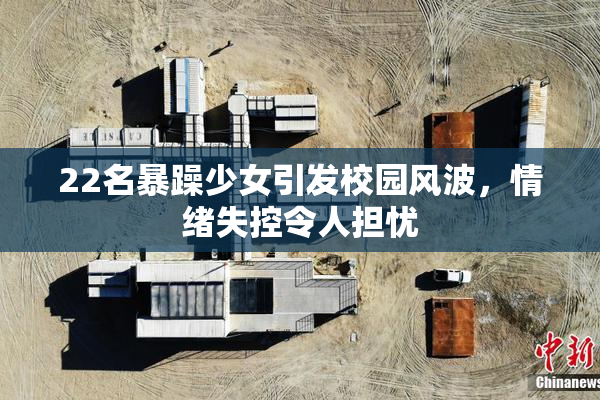 22名暴躁少女引发校园风波，情绪失控令人担忧