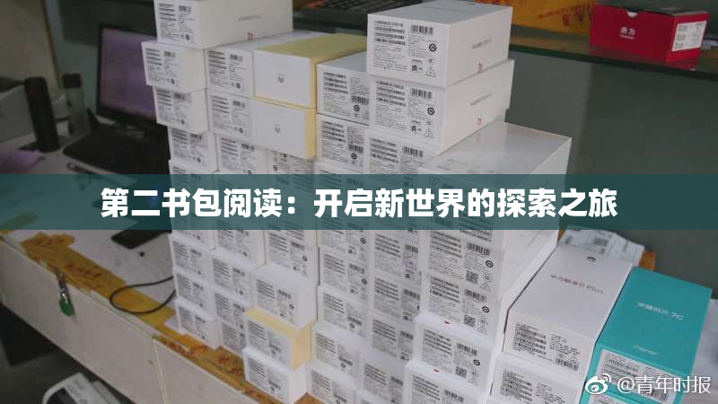 第二书包阅读：开启新世界的探索之旅