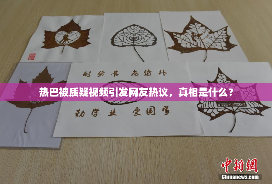 热巴被质疑视频引发网友热议，真相是什么？